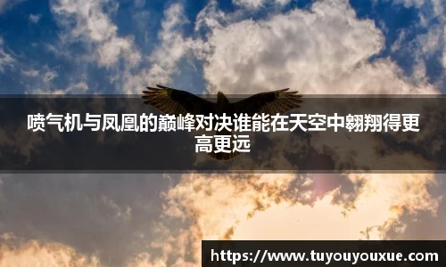 南宫28NG相信品牌力量